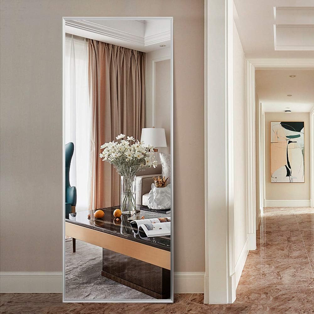 NeuType Rectangle Full Length Mirror Hanging Mirror Wall-Mounted Dressing Mirror (Silver (59"x20"))