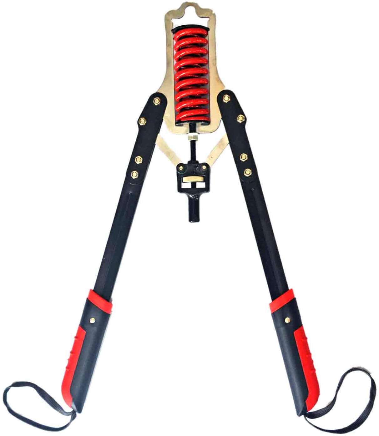 adjustable chest expander