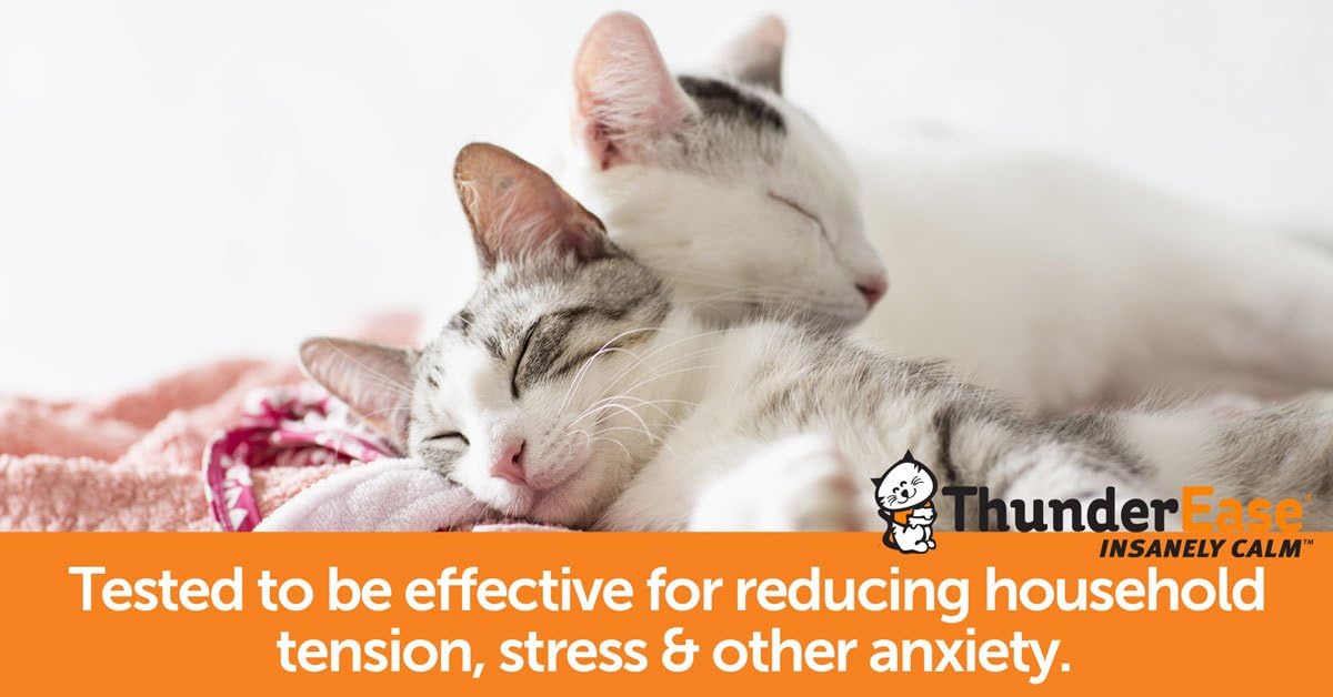 ThunderEase Multicat Calming Pheromone Diffuser Refill | Powered by FELIWAY | Reduce Cat Conflict, Tension and Fighting (180 Day Supply) : Pet Supplies
