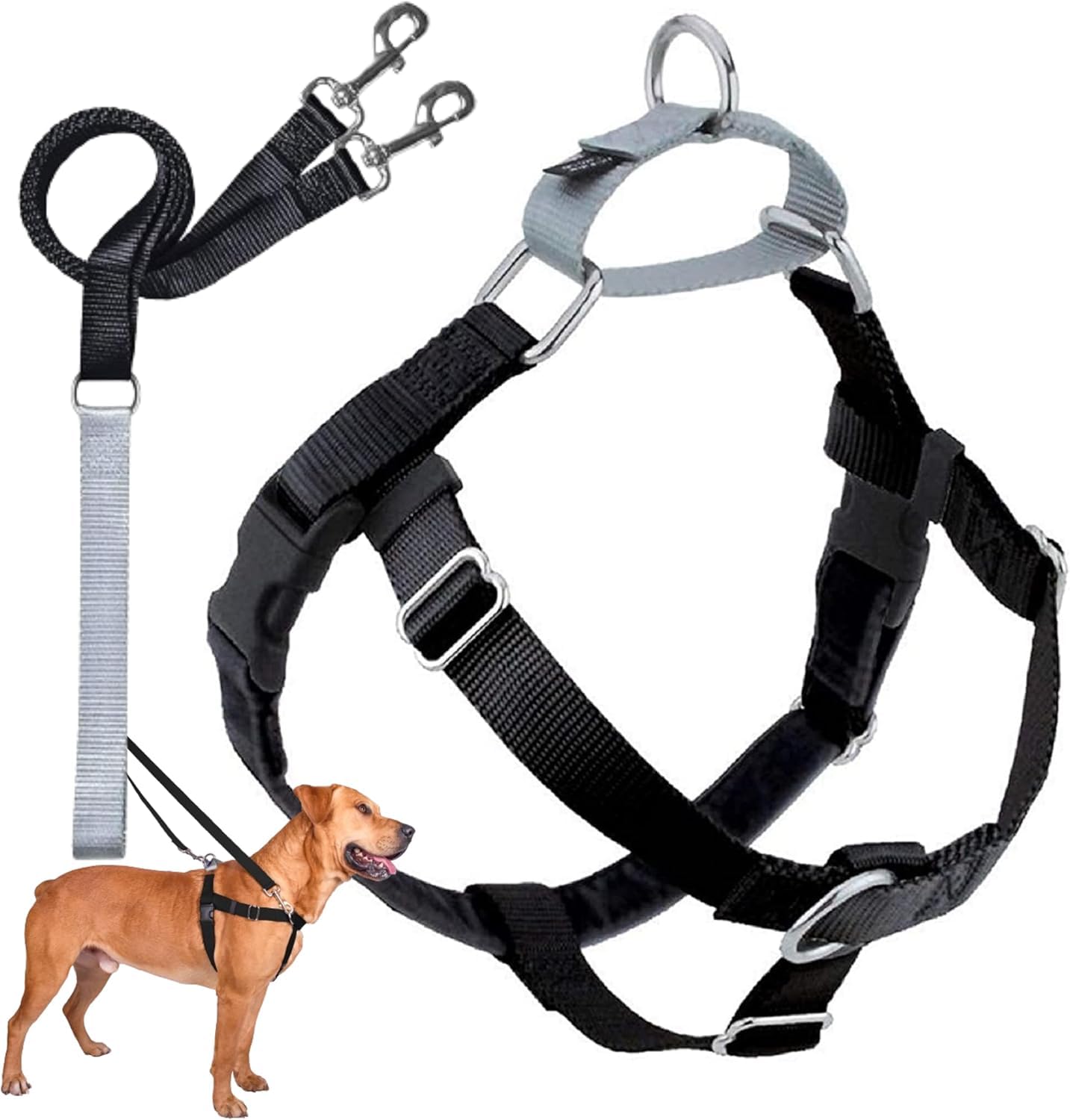 2 Hounds Design Freedom No-Pull Dog Harness with Leash, Large, 1-Inch Wide, Black โ image 1