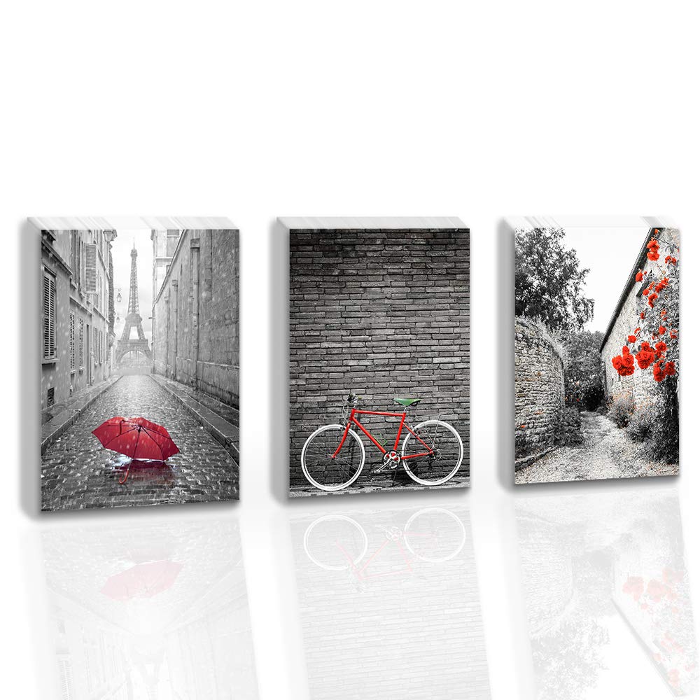 Loboo Idea Artistic Path Cityscape Artwork Wall Decor: Bicycle Photographic Prints- Retro Vintage Red Bike in Black and White on Wrapped Canvas for Home Decoration