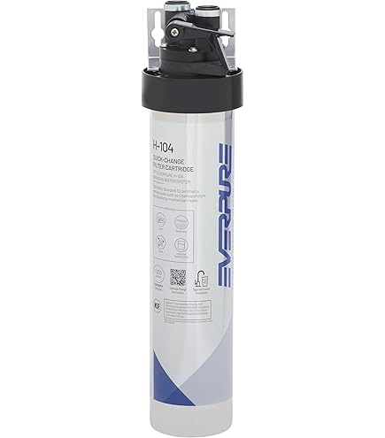 Amazon.com: Pentair Everpure H-300 Drinking Water System, EV927076