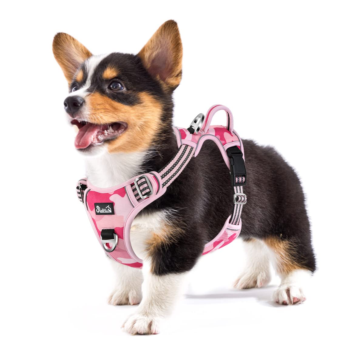 Eyein Dog Harness Small Dog, Anti Pull Adjustable Heavy Duty Pet Vest Harness with 2 Clips, Easy Control Escape Proof Puppy Harness with Soft Padded Handle Reflective for Outdoor Training Walking, S