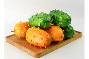 Zzooi 2PCS Artificial High Simulation Cucumis Metuliferus Artificial Kiwano Horned Melon Yellow and Green