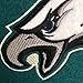 NFL Philadelphia Eagles Super Bowl 52 Championship Banner
