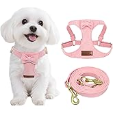 Guiding Star Dog Harness Small Sized Dog with Multifunction Leash, No Pull Puppy Dog Harness and Leash Set Training, Cute Soft Adjustable Dog Walking Harness Pet Vest Harness (Pink-XXS)