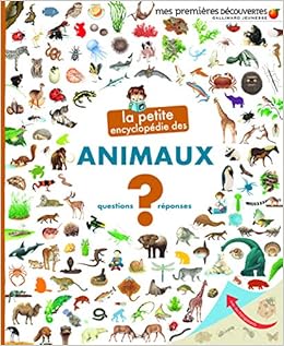 La Petite Encyclopedie Des Animaux Questions Reponses La Petite Encyclopedie De 3 A 7 Ans Amazon Fr Lamoureux Sophie Un Collectif D Illustrateurs Livres