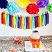 Bobee Rainbow Party Decorations 42 Piece Rainbow DIY Pom Poms and Tassel Garland