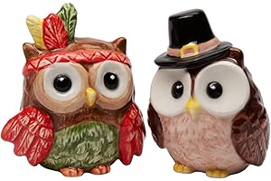 Cosmos Gifts 21061 Ceramic Indian & Pilgrim Owl Salt and Pepper Shakers