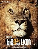 Big Cat Diary: Lion