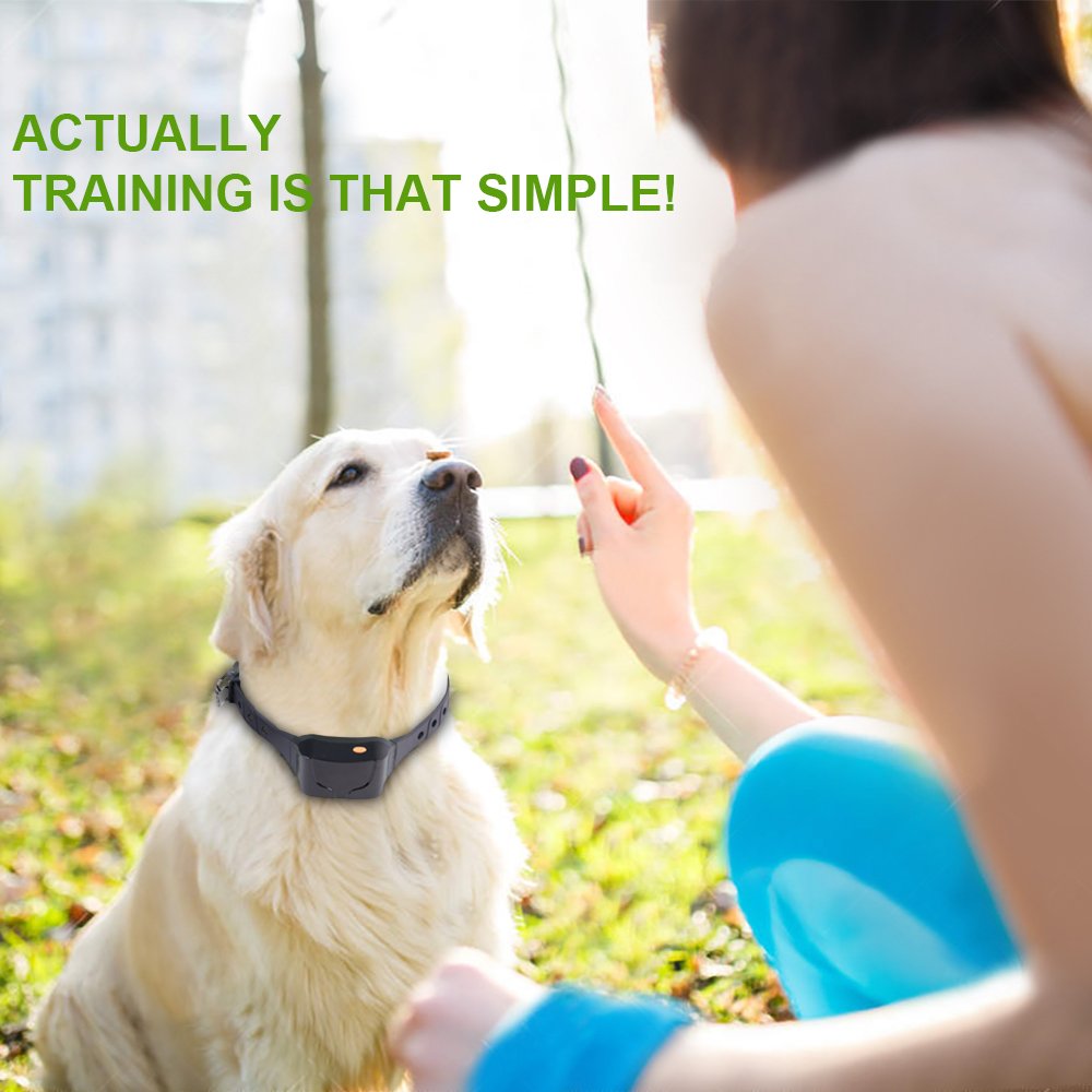 wolfwill training collar