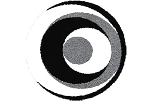 YAKOLECI Latch Hook Kits for Adults, Pre-Printed Handmade Rug Crochet Yarns DIY Door Mat Kits for Home Decor Festival Gift 20''X20'' (Transmigration)