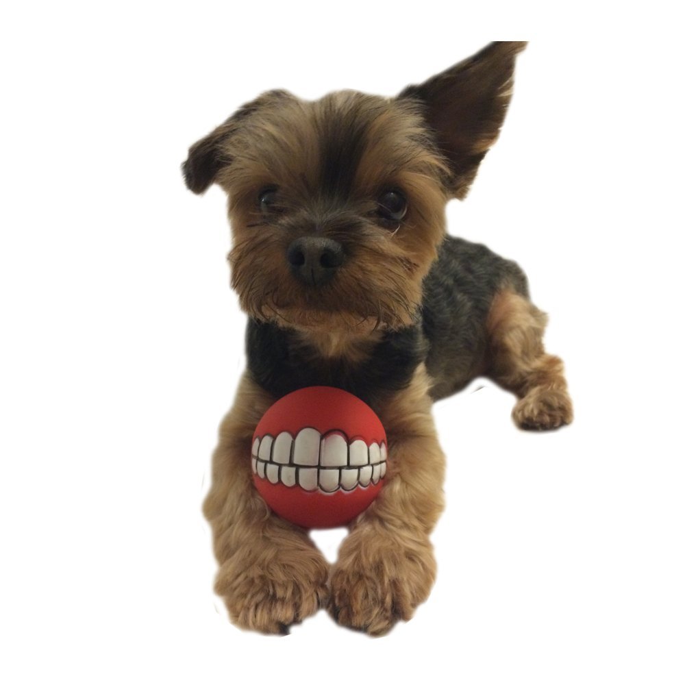 smiley teeth dog ball
