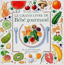 Le Grand Livre De Bebe Gourmand Plus De 0 Recettes Faciles Rapides Et Nutritives Amazon Com Books
