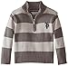 U.S. Polo Assn. Little Boys' 1/4 Zip Striped Sweater, Dark Grey, 5/6