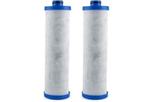 ClearChoice Great Filters. Great Prices. Replacement Compatible for WaterPur KW1 Water Filter for Built-In RV Water Filtration Systems, 2-pack