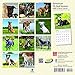 American Pit Bull Terriers 2018 7 x 7 Inch Monthly Mini Wall Calendar, Animals Dog Breeds (Multilingual Edition)