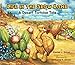 Life Slow Lane: Desert Tortoise Tale