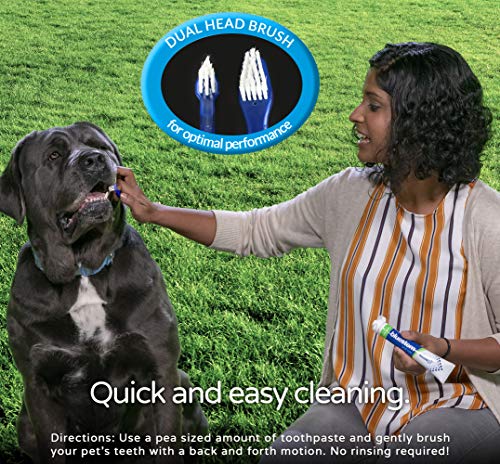 Dog Toothbrush and Toothpaste : Vanilla Mint Flavor Tooth Paste with Tooth Brush for Dogs. Teeth Brushing Cleaner Pet Breath Freshener Oral Care Dental Cleaning Kit. Tartar & Plaque Remover Brushes - Thumbnail 2