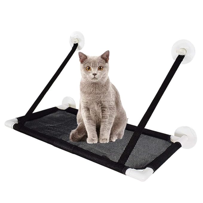 Hamaca gatos ventana Todo gatos