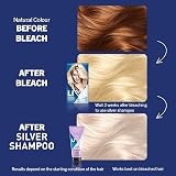 LIVE Intense Lightener Absolute Platinum 00A Blonde Bleach Kit 60ml + Booster view 5
