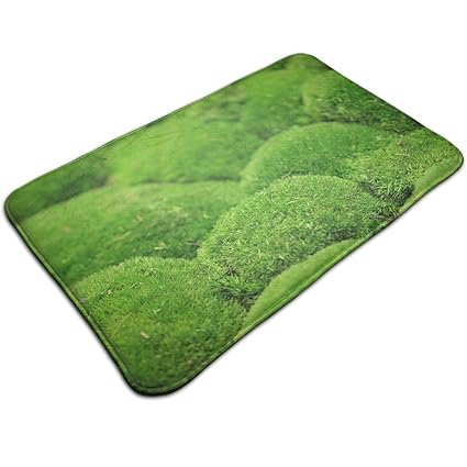 Amazon Com Absorbent Indoor Outdoor Front Door Mat Moss