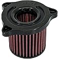 DNA Air Cover Stage 2 and Filter Combo Compatible for Royal Enfield Classic 350 (21-24) PN: R-RE35CL22-S2-COMBO