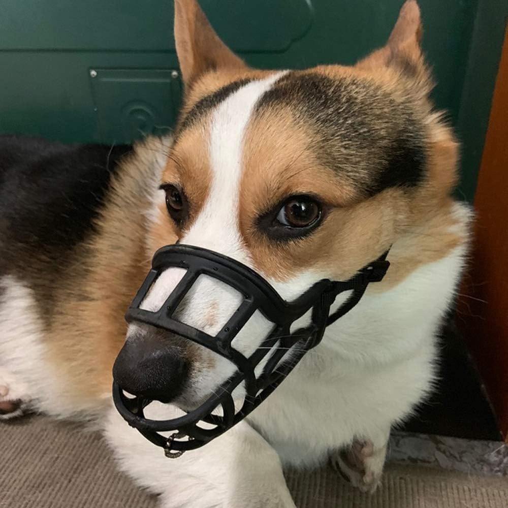 box muzzles