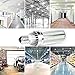 25W Super Bright Corn LED Light Bulb(250 Watt Equivalent) - E26 Base 2900Lumen 6500K Daylight White for Large Area Commercial Ceiling Light - Garage Warehouse Workshop Yard Porch Street Lighting