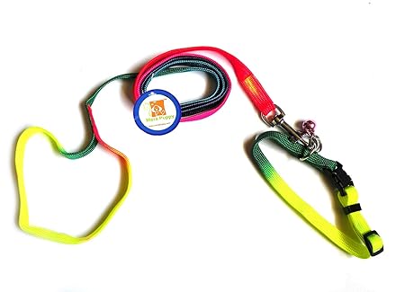 Mera Puppy Training Choke Leash for Small Dogs and Puppies (Multicolour)
