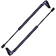 Aazon.co: 2 Pieces (Set) Tuff Support Trunk Lid Lift Supports 1984 To