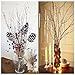 FunPa Pine Cones for Christmas Tree Decorations - 72Pcs Decorating Pinecones with Lanyard for Garland Thanksgiving Halloween Xmas Tree Ornaments