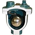 Air Release Valve, FNPT, 3/4 x 1/2, CI