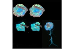 Cooary 4 Pcs Low Temperature Candles Glow in The Dark White Peony Flower Shaped White Heart Rose Scented Luminous Adult Low H