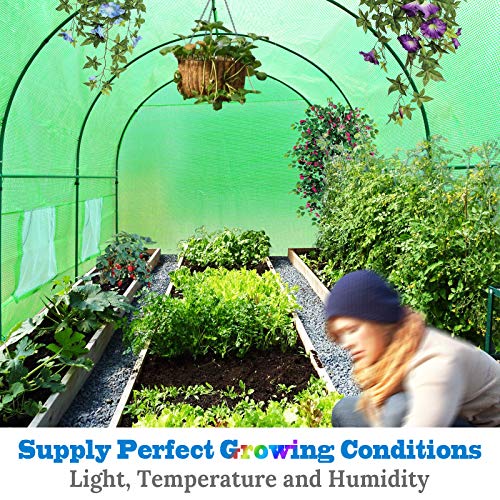 BenefitUSA Multiple Size Large Greenhouse Walk in Outdoor Plant Gardening Hot Greenhouse (12'x7'x7') - Thumbnail 2