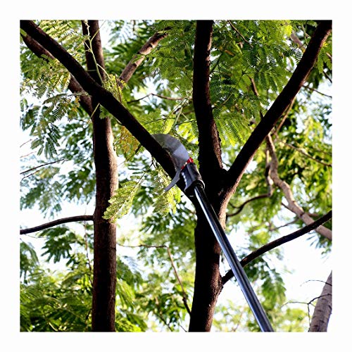YXIAOL Teleskop Profi Baumsäge Mit Gebogener Haken Astsäge Und Aluminium Teleskopstange Als Baum-Entaster Hochentaster… – Bild 6