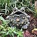 Toad Hollow Croaking Toad Statue