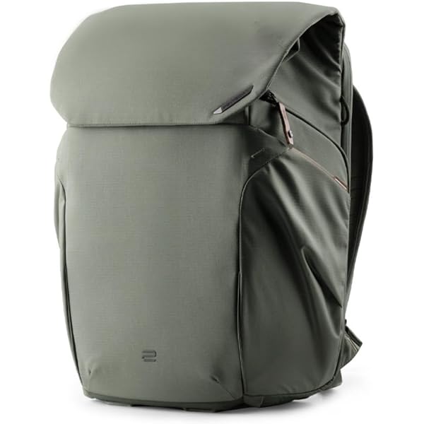Amazon.com: PGYTECH OneGo Stylish/Professional All Weather Scratch