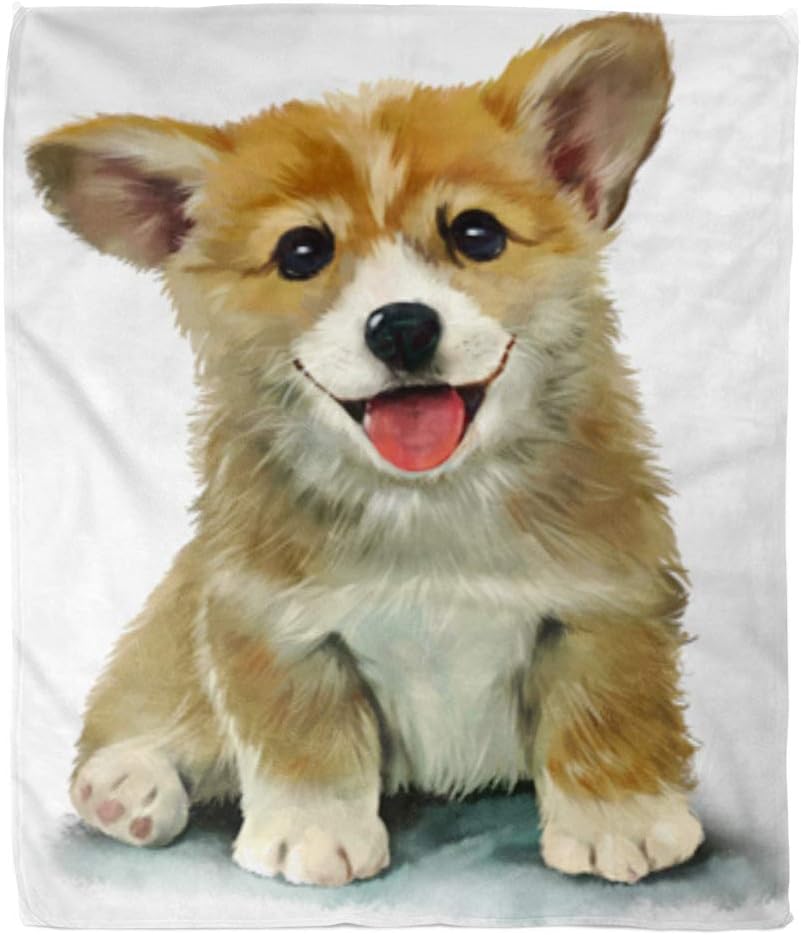 multi colored corgi puppy