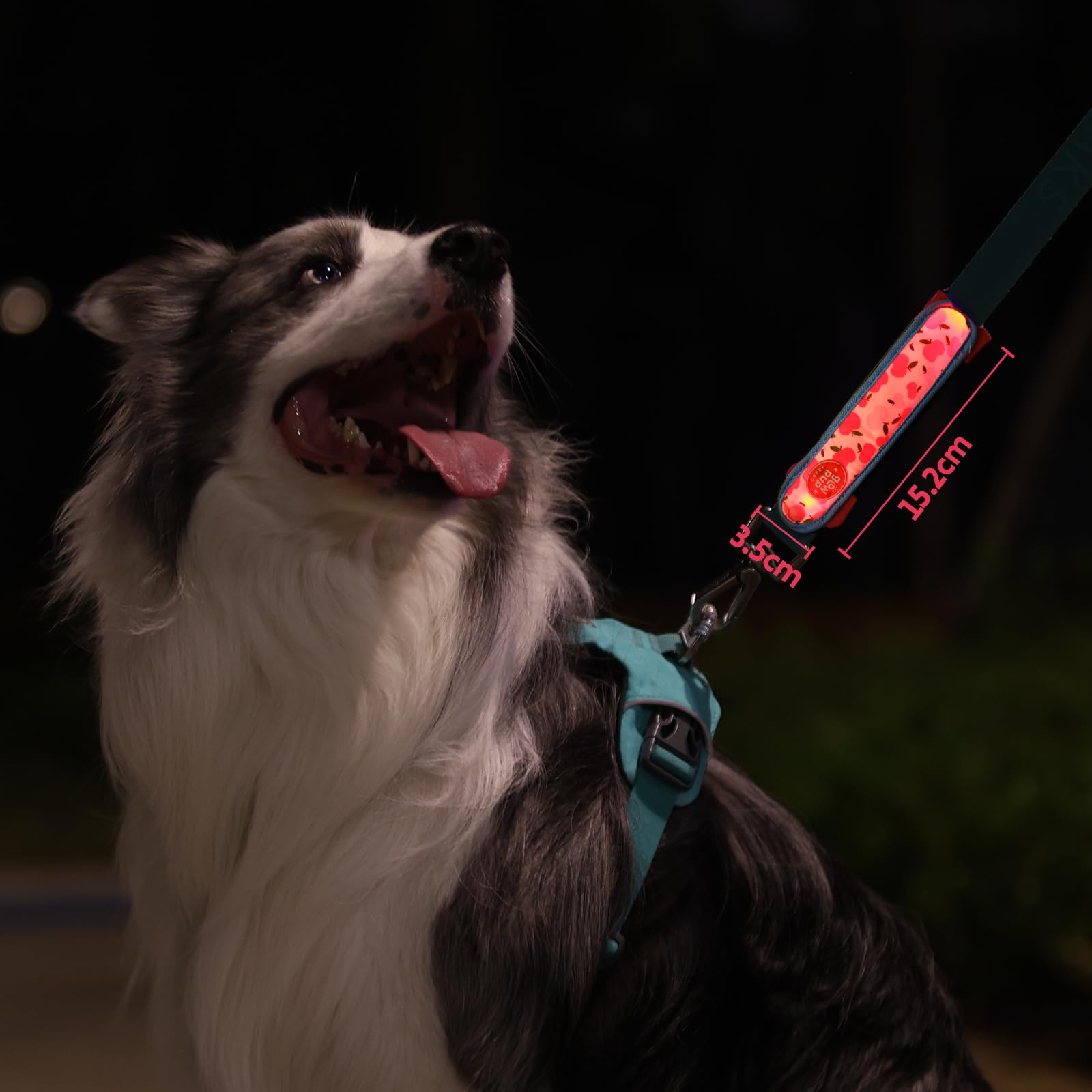 LaRoo Light Up Dog Collar with Nylon Stickers, Universal Glowing Collar Accessories for Leash Harness, Silicone Waterproof Dog LED Flashing Collar Night Outdoor Safety