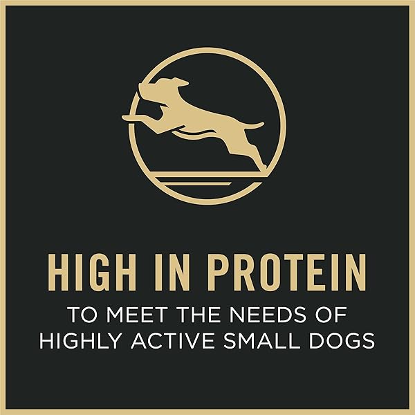 PURINA PRO PLAN SMALL BREED DRY DOG FOOD, SHREDDED BLEND BEEF AND RICE FORMULA WITH GUARANTEED LIVE PROBIOTICS – 6 LB. BAG