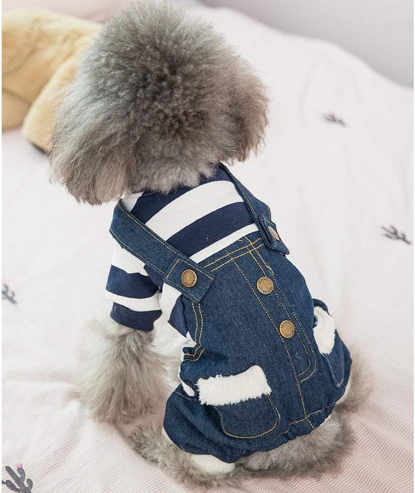 small dog winter coats