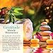 Gratitude Miracle Moisturizer Face Cream, Natural Facial Cream, Day, Night, Anti-aging, Anti-wrinkle, Vitamin C, Antioxidants, Hyaluronic, Essential Oils, Eye Cream, Eye Puffiness, Dark Circles, 2oz