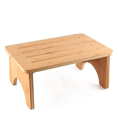 support step stool