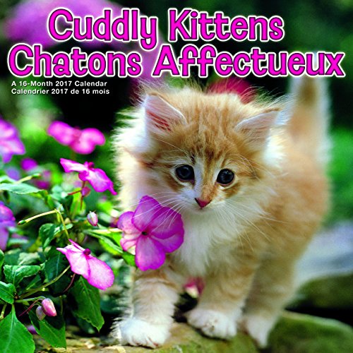 Trends International 2017 Mini Bilingual Wall Calendar, September 2016 - December 2017, 7