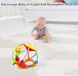 HOLA Baby Rattle Toy Set Sensory Ball 0-6 Months Educational Gift view 5
