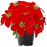 WOBUBU Poinsettia Plants Artificial 9 Heads 14 Inch Fake Poinsettias Christmas Flowers in Pot for Home Porch Office Indoor Outdoor Christmas Winter Decorations Red