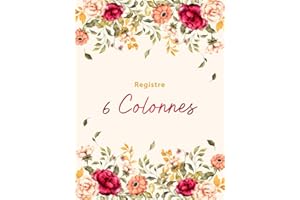 Registre 6 Colonnes: Livre comptable 6 colonnes pour le suivi quotidien et mensuel des revenus et des dépenses, la planificat