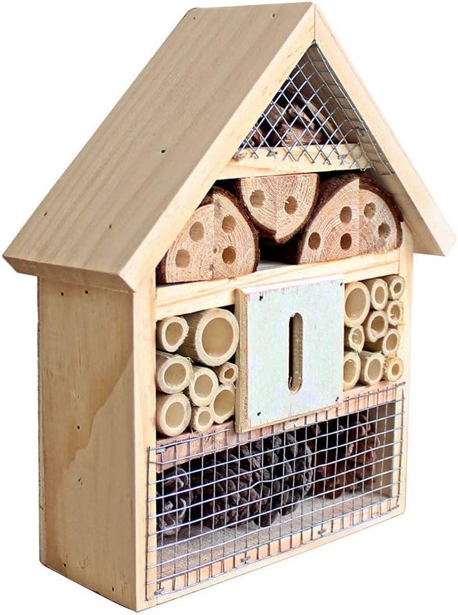 Best House Garden Box