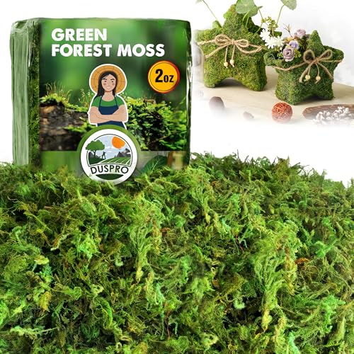 Photo 1 of [Upgraded] DUSPRO Green Moss for Crafts, Real Forest Moss Potted Plants, Decorative Mosses for Table Centerpieces Wedding Christmas Fairy Party Decor, Indoor Planters, DIY Project (2 Oz)